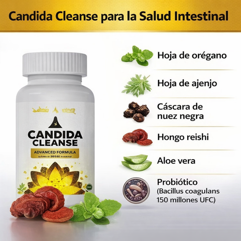 Producto